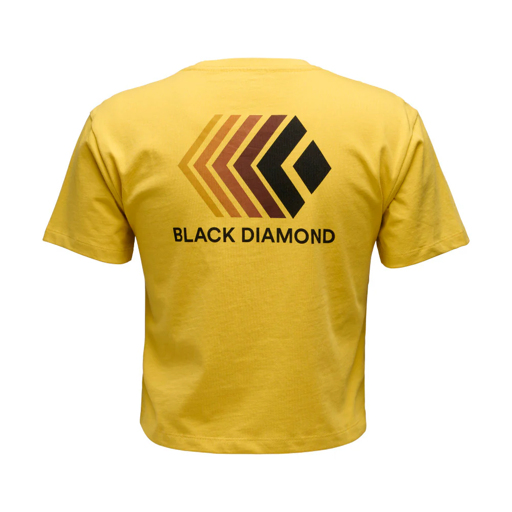 Faded Crop Short Sleeve Tee - Women's - Image 4