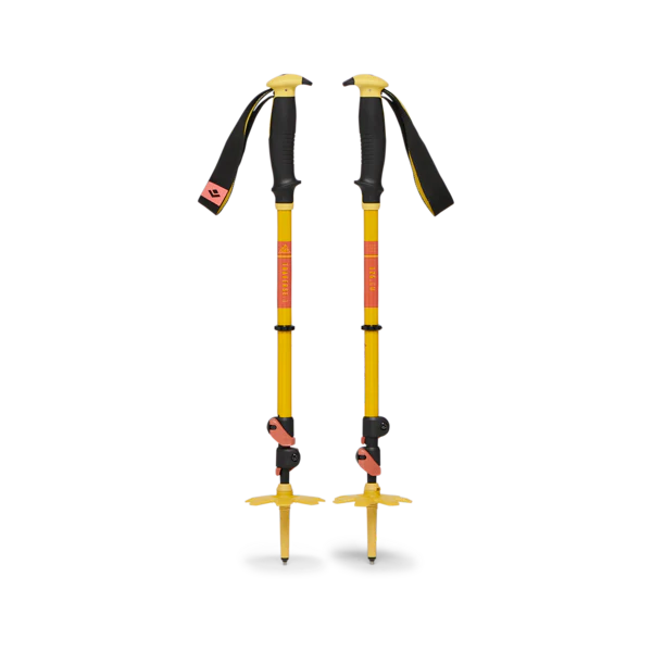 Traverse 3 Ski Poles